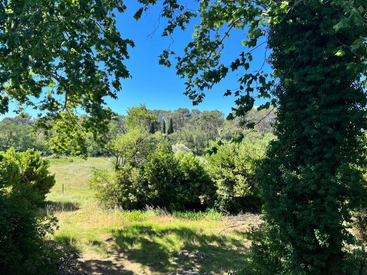 Oasis Fontmarie - Appartement En Pleine Nature 卡斯特里 外观 照片